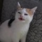 ZacharyD