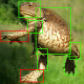 moose5555
