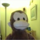 buddingmonkey