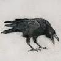 angrycrow