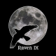 raven-ix