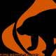 firebearsstudio