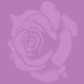 RedSorrel