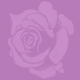 redsorrel