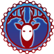 kawiteam