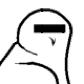 snowyowl