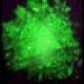 Tyranus
