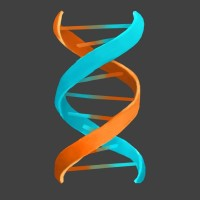 vividhelix
