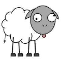 austinsheep