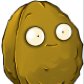 Todnut