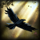 steelraven7