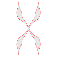 xinchro
