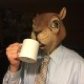fatSquirrel