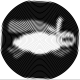 aquasheep
