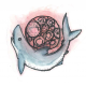 chaosshark