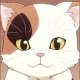 hatcat
