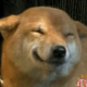 tokija