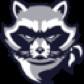 Anonymus Raccoon