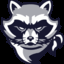 Anonymus Raccoon