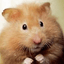 JackLeHamster