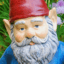 gnomes