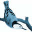 Birdwards