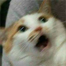 TomAcrofear