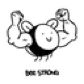 1337life