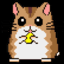 Hamsters Actually
