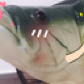 Terry_Crow