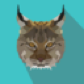 BinaryLynx