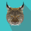 BinaryLynx