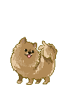 Egg6
