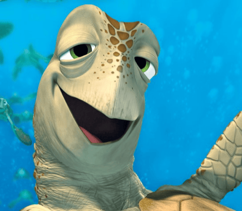 TypicalTurtle