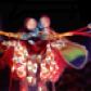 damantisshrimp