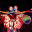 damantisshrimp
