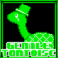 GentleTortoise