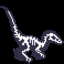 tetrapteryx