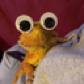 aameliebernardd