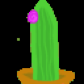 aCactus