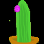 aCactus
