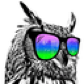 A_ColtZz