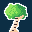 BirchTree