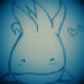 ShellDragon