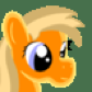 Honey Pony