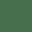scalliondelight