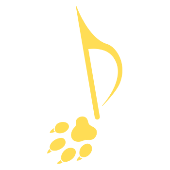 ShadAcinonyx