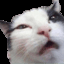 nick0124 creator