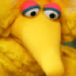 eloc