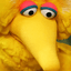 eloc